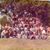 Cheryl Ann Powers's profile image