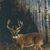 Randall Cowart's profile image