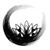 Lindsay Friedman's profile image