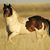 Theresa Hart's profile image