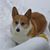 Donna Price's profile image
