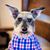 Kimberly Tessa's profile image