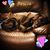Jennifer Porter-Runge's profile image