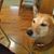 Beki Bennett's profile image