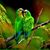 Ana Cedillo's profile image