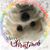 Jonathan Kidd's profile image