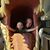 Ryland Reamy's profile image