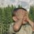 Malissa Strawn's profile image