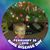 Jon Carman's profile image
