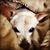 Kelly Campbell's profile image