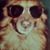 John Chavez's profile image