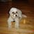 Joan Christie Kelly's profile image