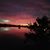 Vicki Paulnitz's profile image