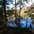 Linda Avery Wilson's profile image