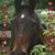Julie Gammino Carberry's profile image
