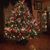 Joann McClellan's profile image