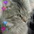 Christina Sanok's profile image