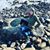 Lauren R Hutchinson-Davis's profile image