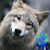 Debbie Johnston's profile image