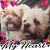 Sue Hosack's profile image
