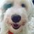 Stephani Cuco's profile image