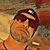 Brian Porter's profile image