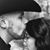 Amie Corlew's profile image