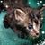 Angie Cherry's profile image