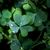 Melissa K. Riley's profile image