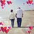 Diane Siragusa-Olsem's profile image