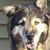 Tara Goode's profile image