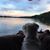 Lisa Ryan Dionne's profile image