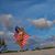 Lynn Mitchell-Huff's profile image