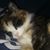 Jeanie Garling's profile image