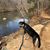 Donna McPherson's profile image