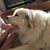 Jodie Mellinger's profile image
