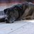 Mary Beth McCool Hutchinson's profile image