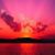 Cindy Hyatt's profile image