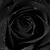 Lisa Taylor's profile image