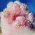 Creedence Sabrina Gerlach's profile image