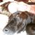 Aleta Teich's profile image