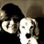 Amanda Henderson's profile image