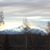 Bunny Smith's profile image