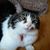 Marianne Hudson's profile image