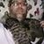 Chris Stockum's profile image