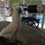 Wendy Salmi's profile image