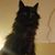John Lucas Metzger's profile image