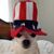 Darlene Chess's profile image