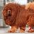 Clifford D Vance's profile image
