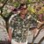 Michael Goncalves's profile image